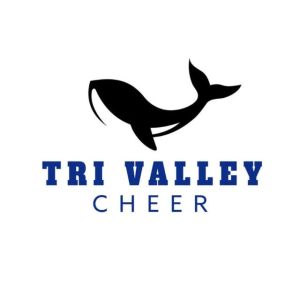 Tri Valley Cheer - 25