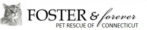 Foster and Forever Pet Rescue - 25